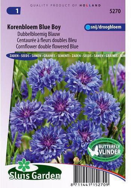  Sluis Garden - Korenbloem Blue Boy, Dubbelbloemig