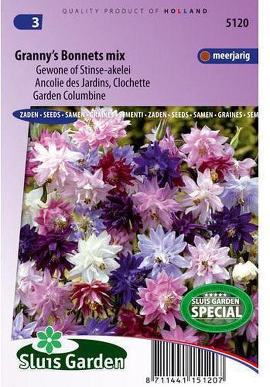  Sluis Garden - Akelei Granny's Bonnets Mix (Aquilegia Vulgaris)