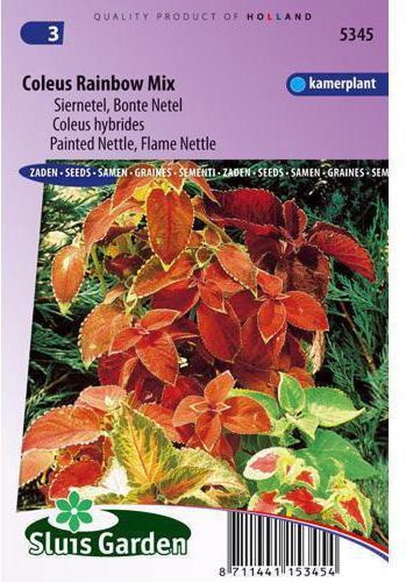  Sluis Garden - Siernetel Rainbow Mix (Coleus Blumei)