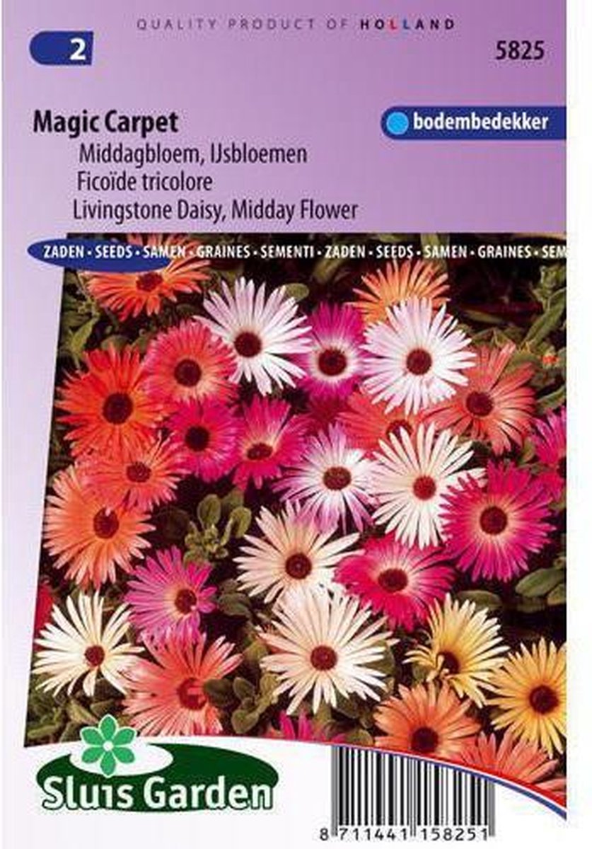  Sluis Garden - IJsbloem Magic Carpet Mix (Middagbloem)