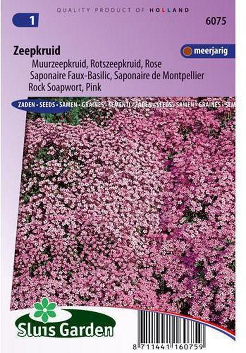  Sluis Garden - Zeepkruid Rose-Pink (Saponaria)