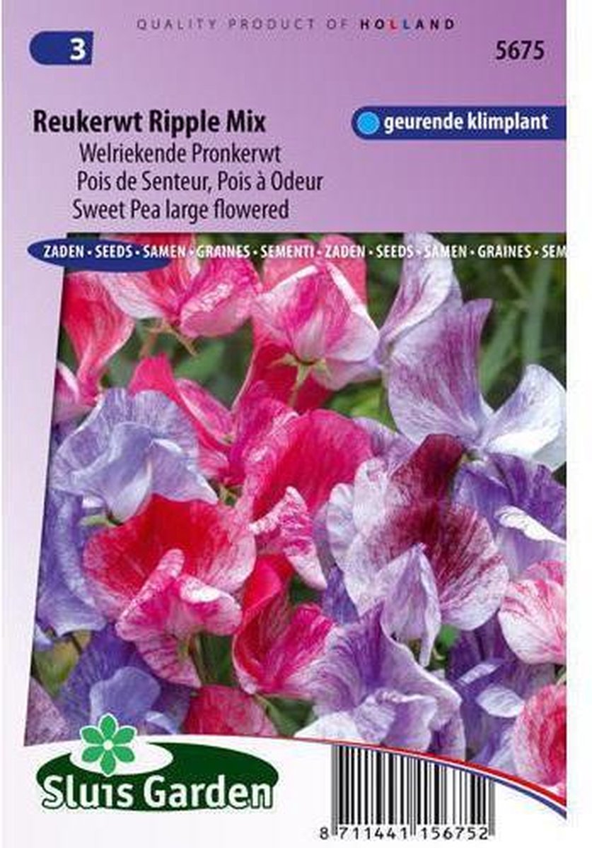  Sluis Garden - Reukerwt Ripple Formula Mix (Lathyrus)