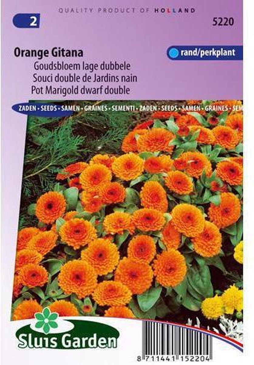  Sluis Garden Goudsbloem Orange Gitana (Calendula Officinalis)