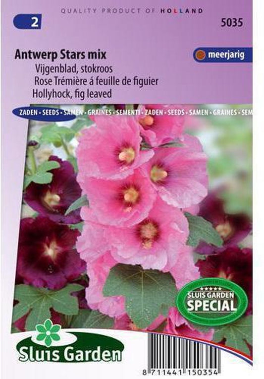  Sluis Garden - Stokroos Antwerp Stars (Alcea Rosea)