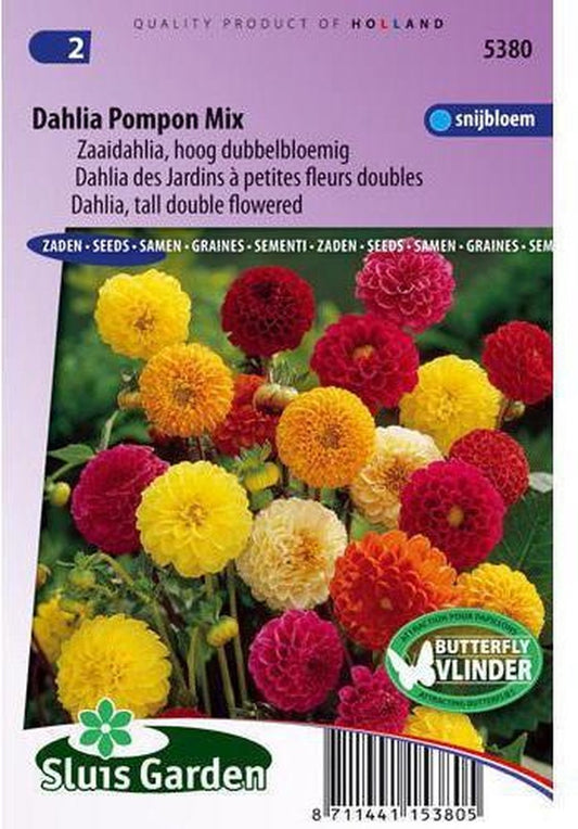  Sluis Garden - Dahlia Pompon Mix