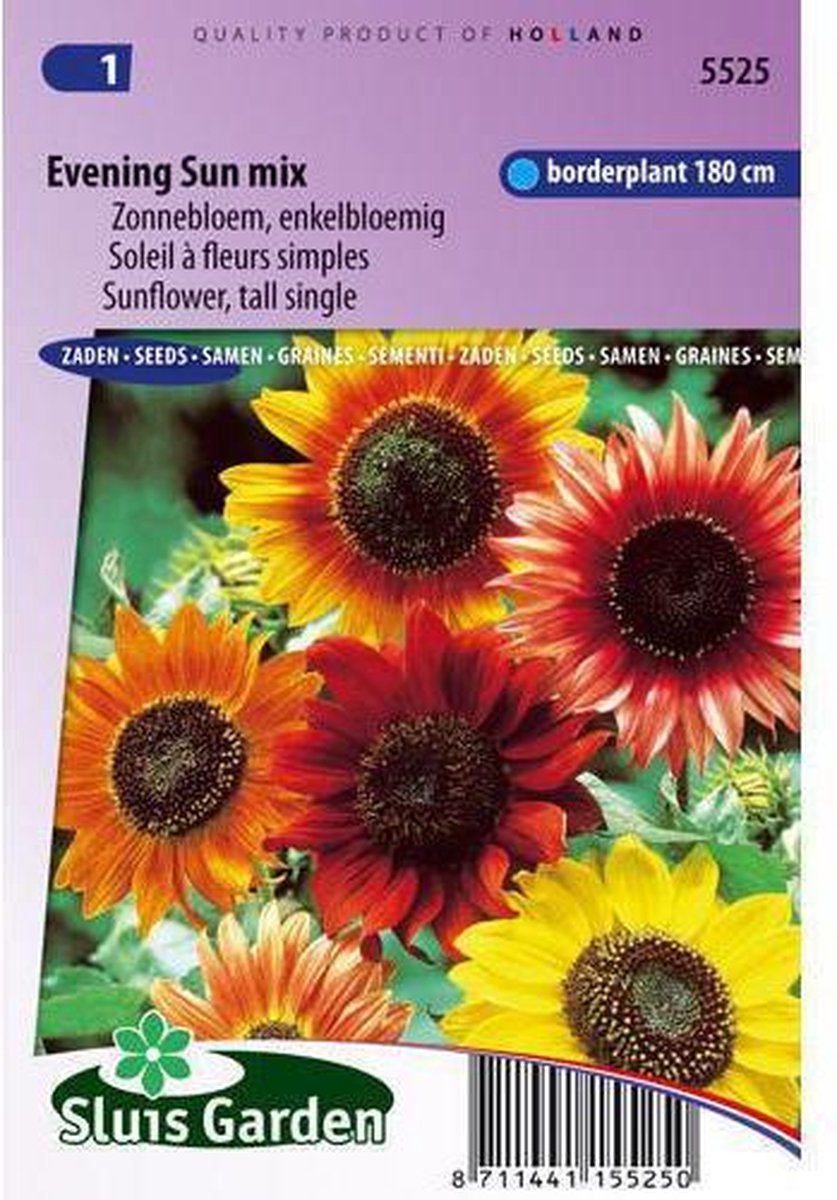 Sluis Garden- Zonnebloem Avondzon Mix (Helianthus)
