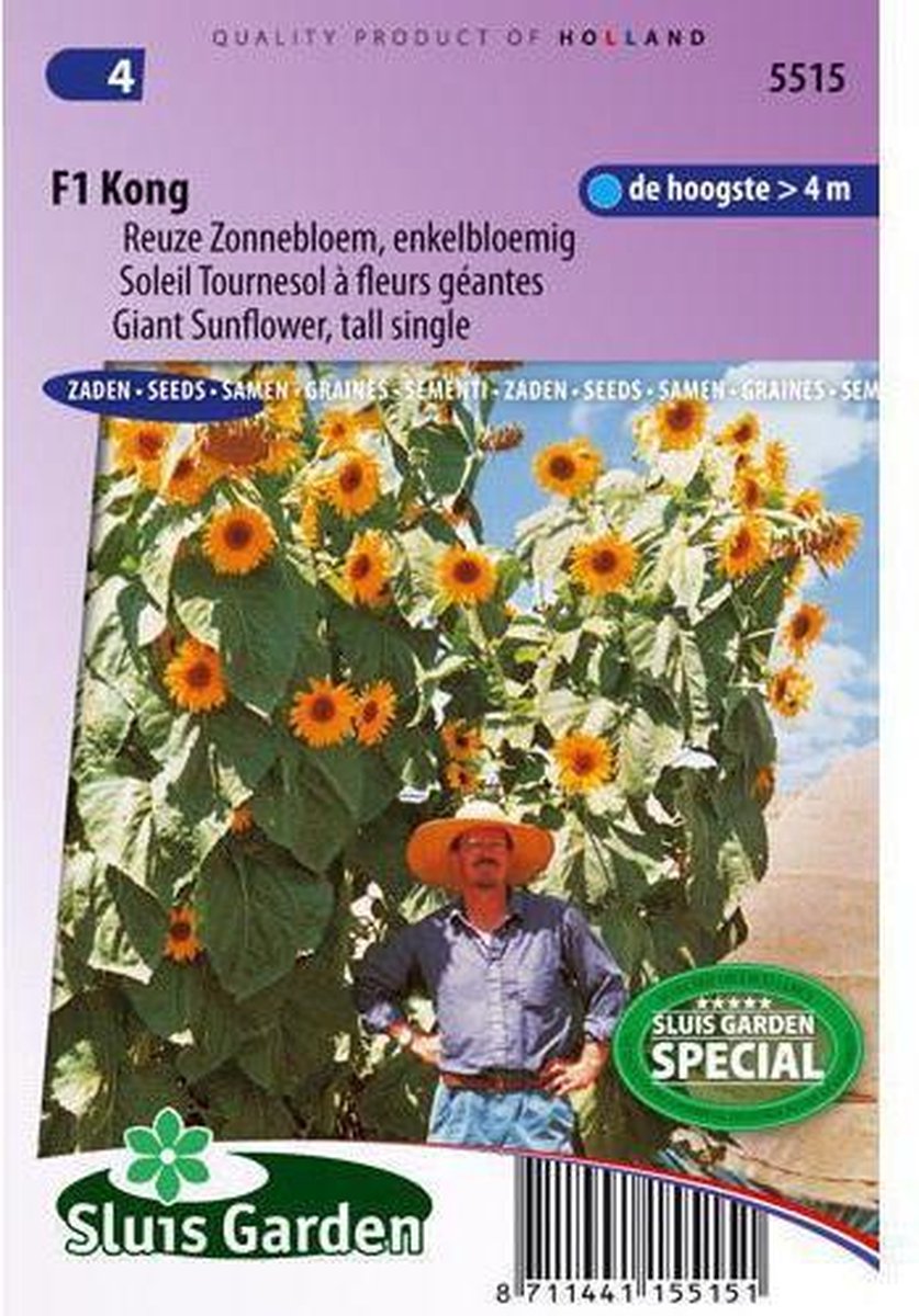  Sluis Garden - Zonnebloem Kong F1 (Helianthus Annuus)