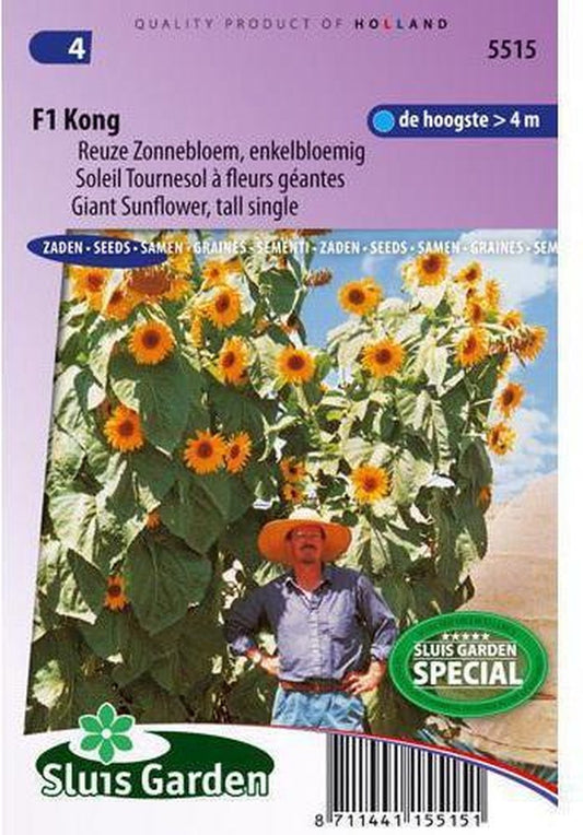  Sluis Garden - Zonnebloem Kong F1 (Helianthus Annuus)