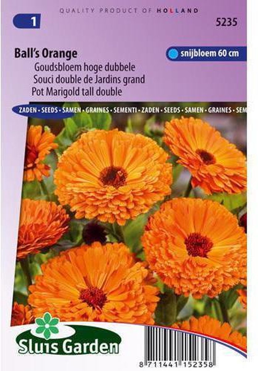  Sluis Garden - Goudsbloem Ball's Orange