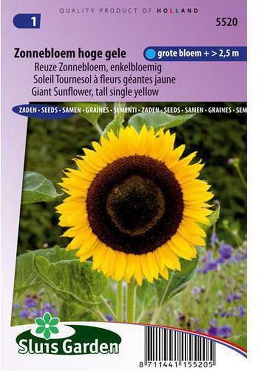  Sluis Garden - Zonnebloem Hoge Gele