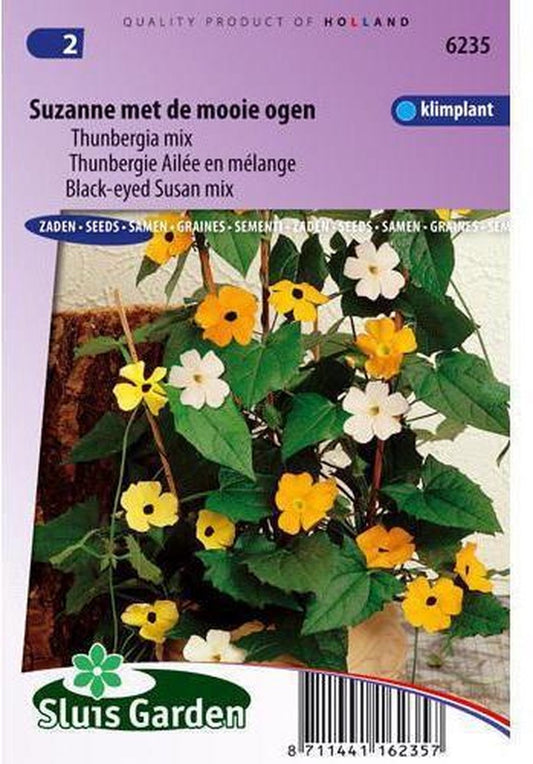  Sluis Garden - Suzanne Met De Mooie Ogen (Thunbergia Alata)