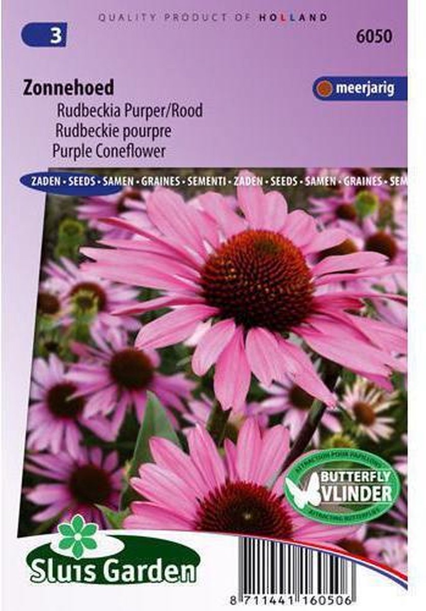  Sluis Garden - Zonnehoed Purpurea (Echinacea)
