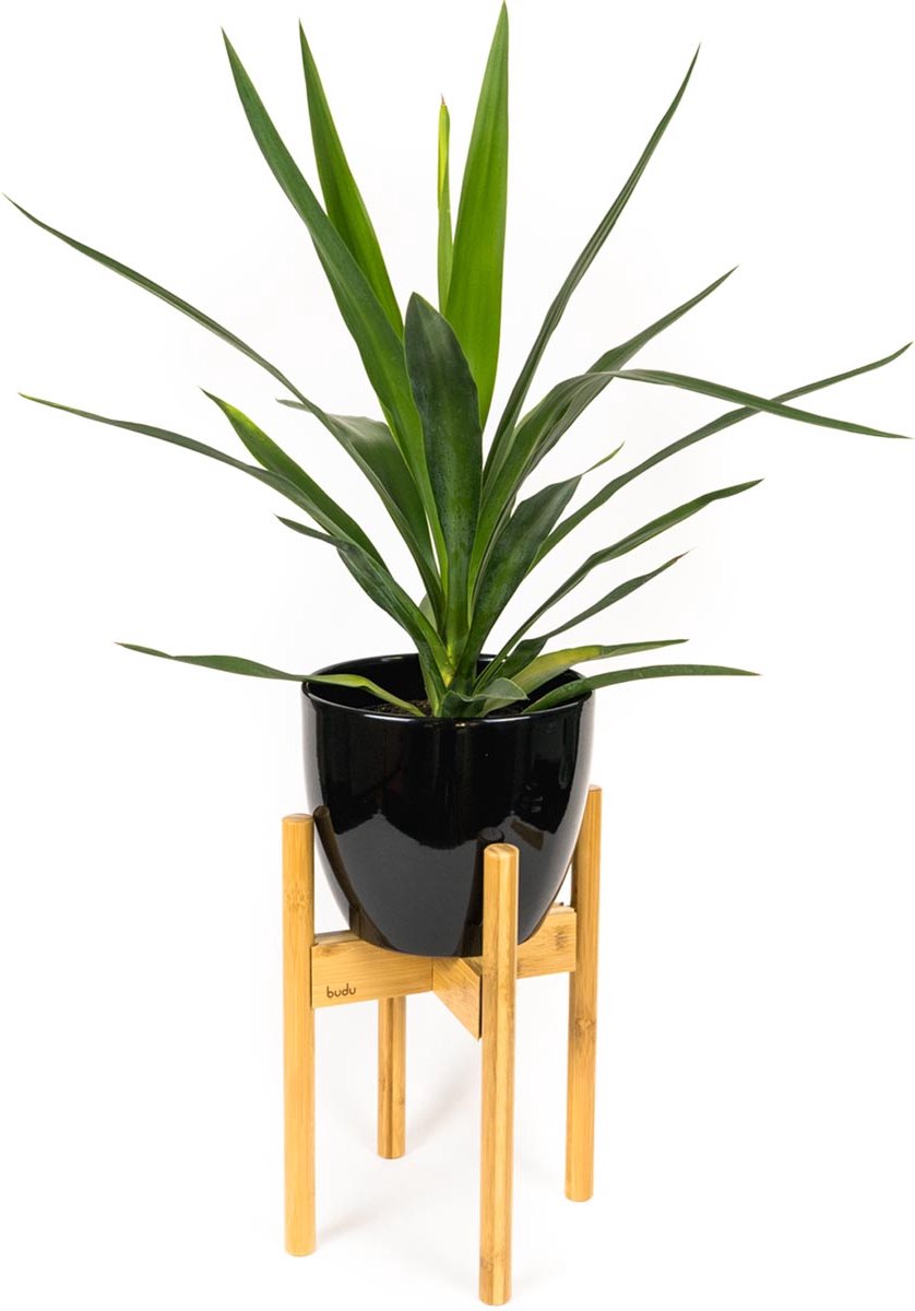 Budu Plantenstandaard Binnen – Plantenhouder – Plantenrek – Uitschuifbaar - Bloempot Standaard - Bamboe Hout - Ø 20 Tot 30 Cm