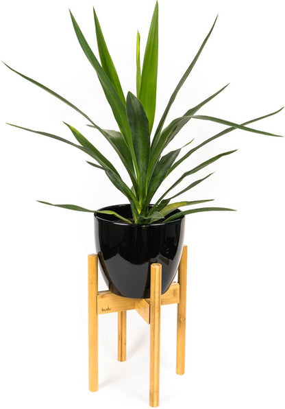  Budu Plantenstandaard Binnen – Plantenhouder – Plantenrek – Uitschuifbaar - Bloempot Standaard - Bamboe Hout - Ø 20 Tot 30 Cm