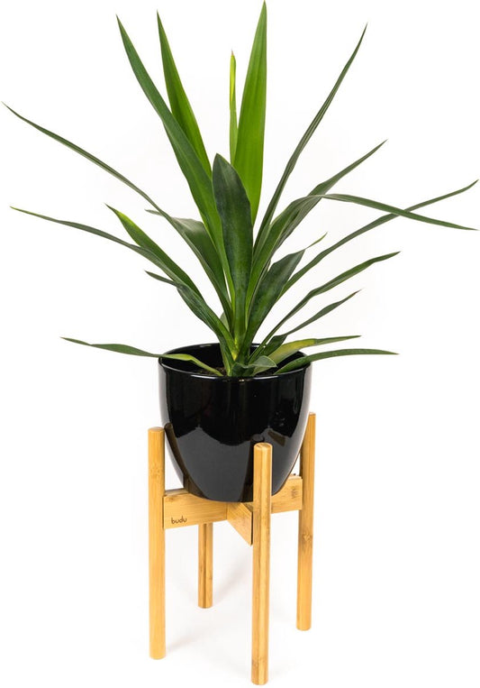  Budu Plantenstandaard Binnen – Plantenhouder – Plantenrek – Uitschuifbaar - Bloempot Standaard - Bamboe Hout - Ø 20 Tot 30 Cm