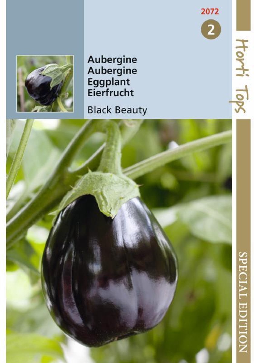  Hortitops Zaden - Aubergine Black Beauty 1 Gram