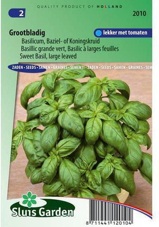  Sluis Garden - Basilicum Grove, Grootbladige (Ocimum Basilicum)