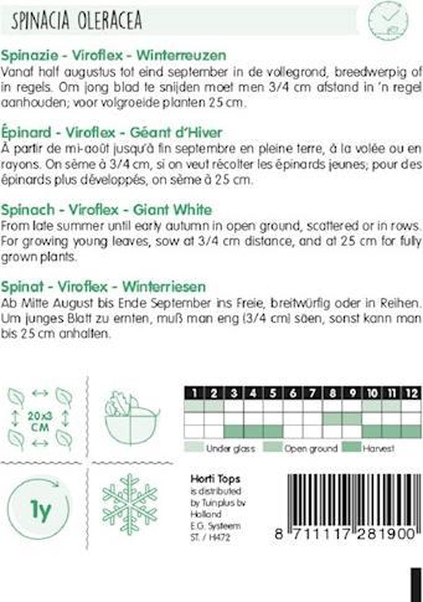  Hortitops Zaden - Spinazie Winterreuzen 15 Gram