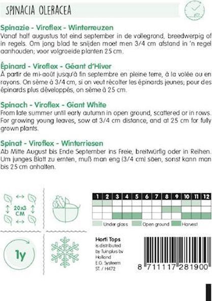  Hortitops Zaden - Spinazie Winterreuzen 15 Gram