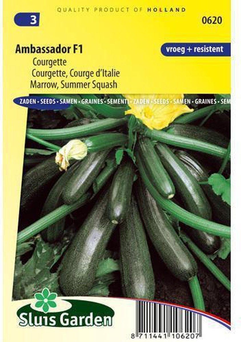  Sluis Garden - Courgette Ambassador F1