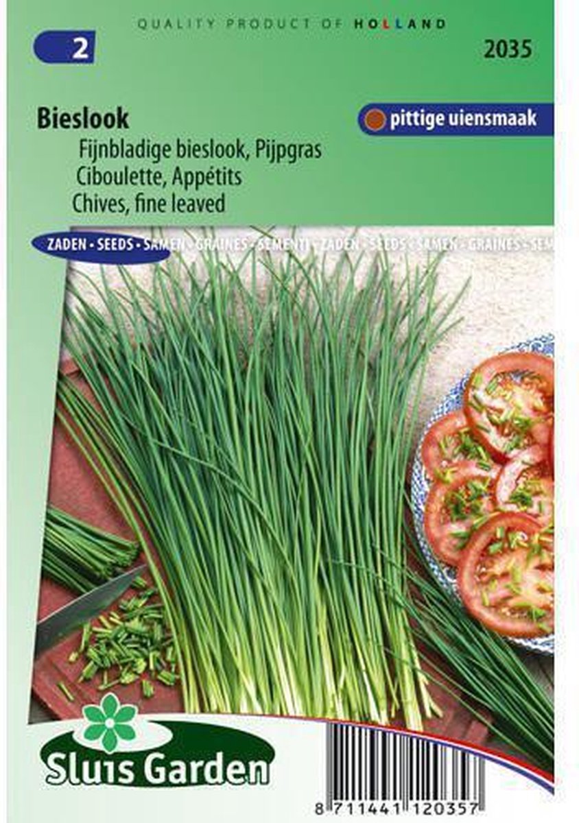  Sluis Garden - Bieslook Fijne (Allium Schoenoprasum)