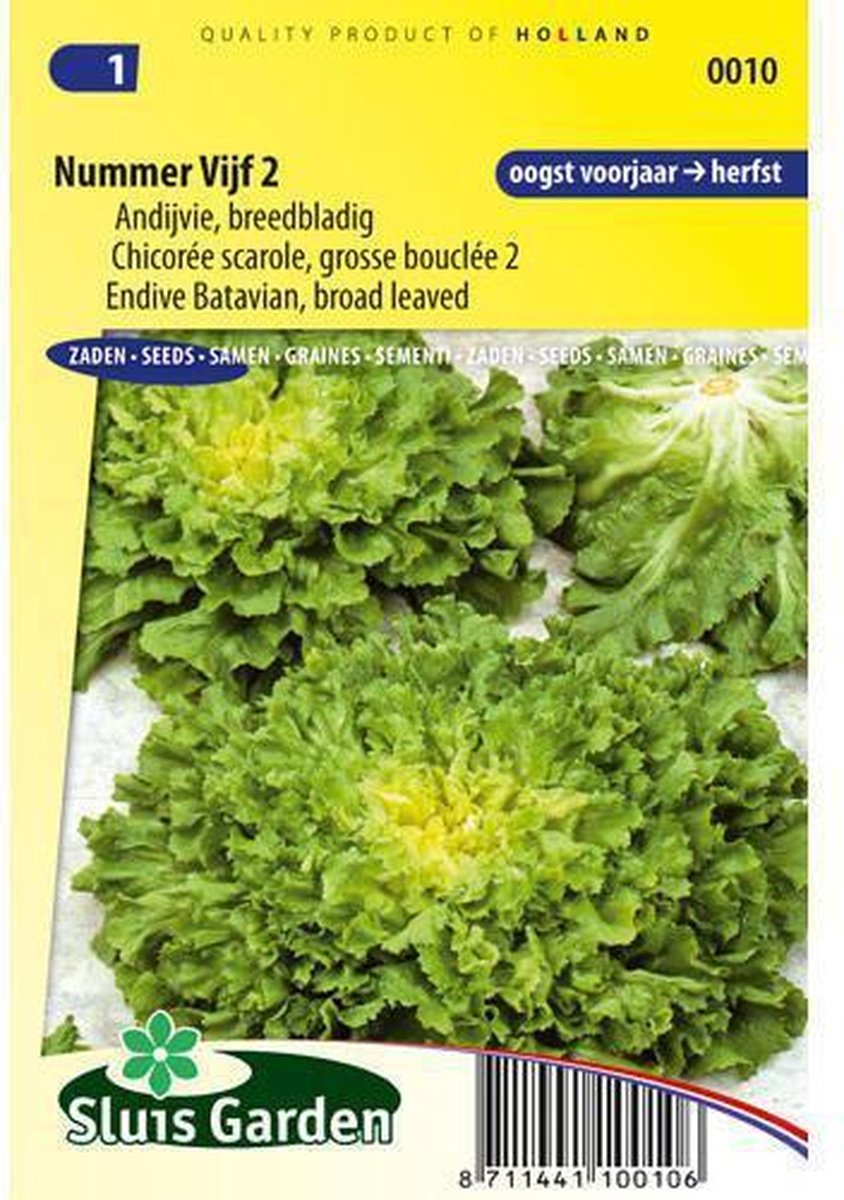 Sluis Garden - Andijvie Nummer Vijf 2