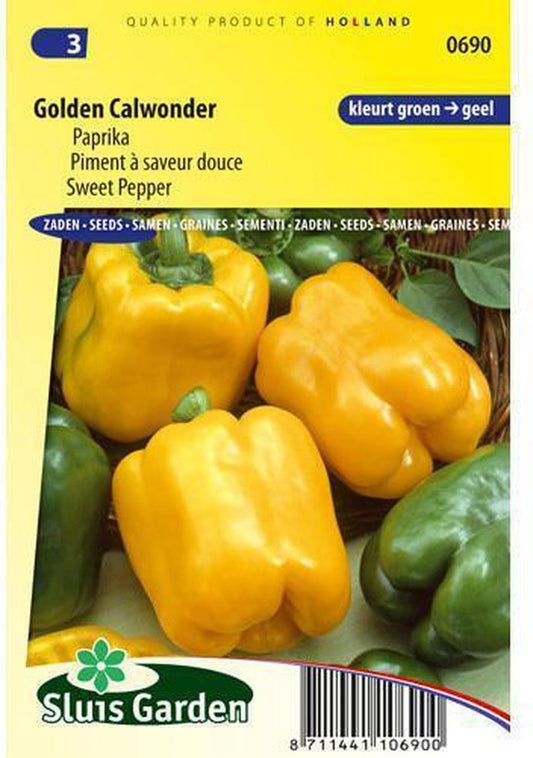  Sluis Garden Paprika California Wonder Yellow