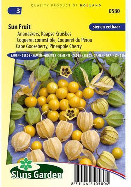  Sluis Garden - Ananaskers (Physalis Peruviana)