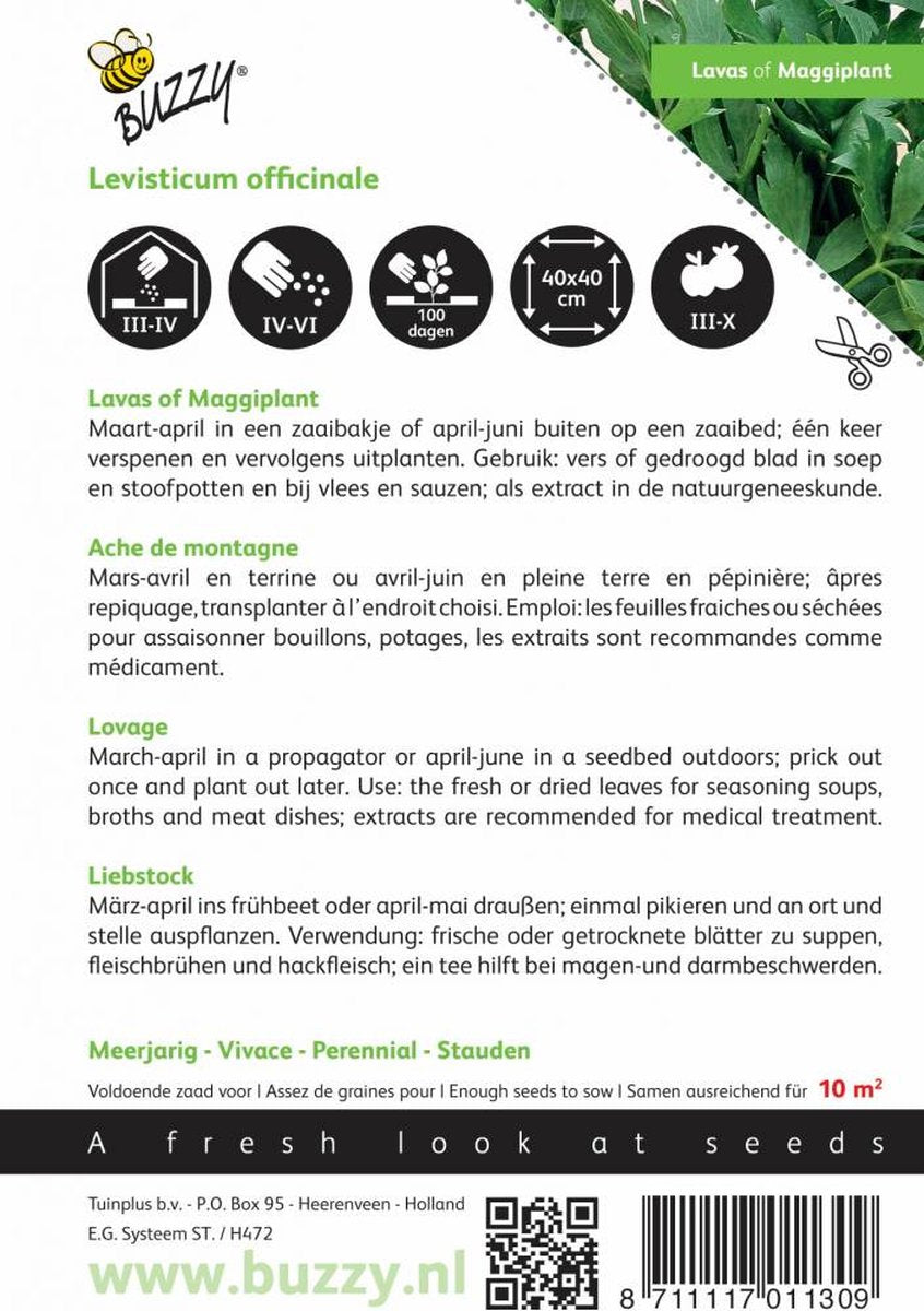  Buzzy® Lavas (Maggiplant)