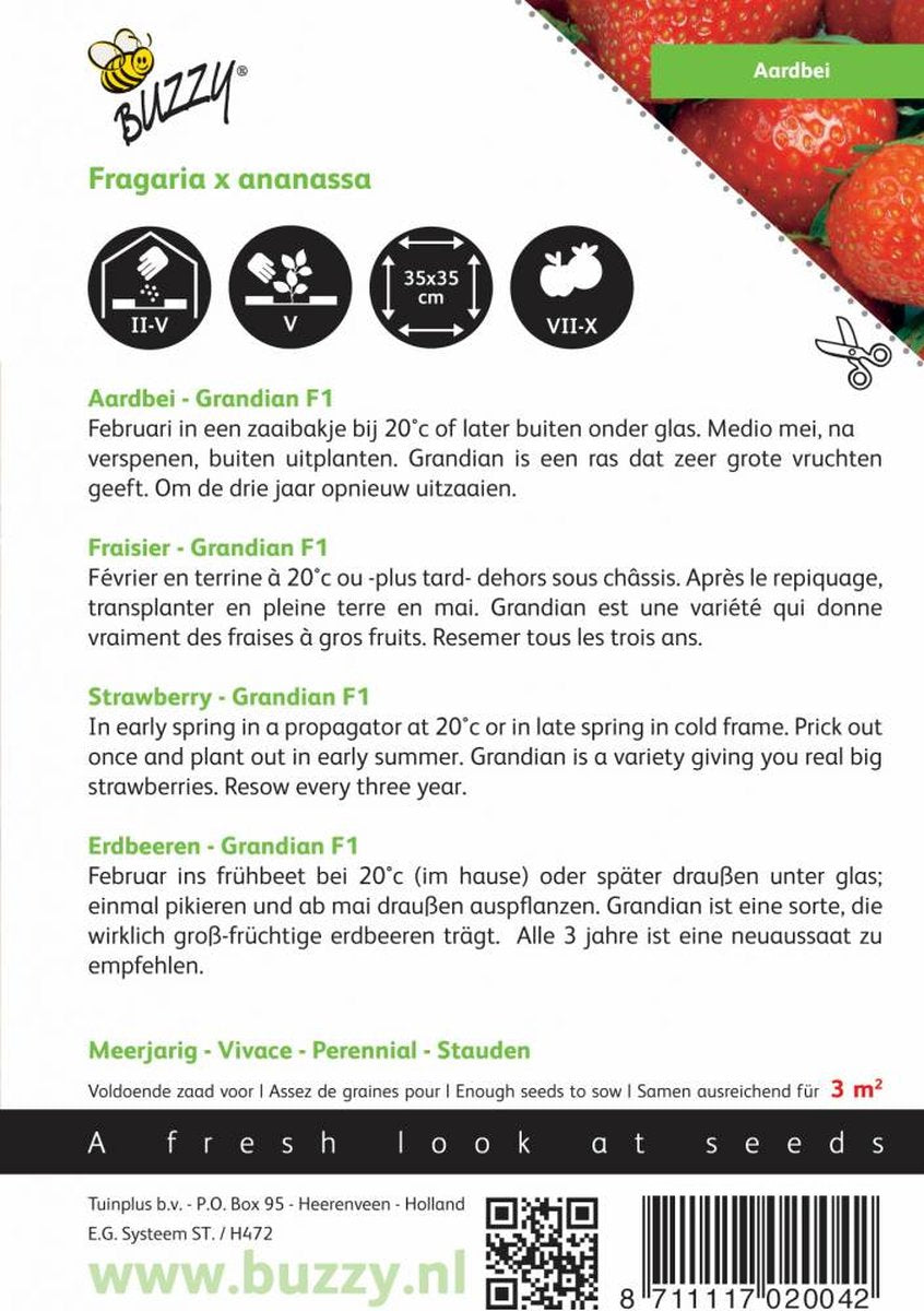  Buzzy® Aardbeien Grandian F1
