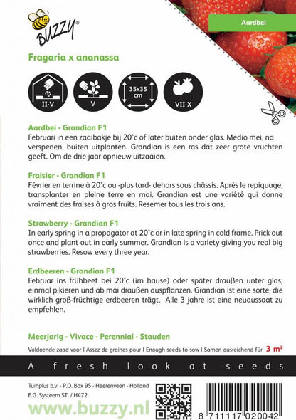  Buzzy® Aardbeien Grandian F1
