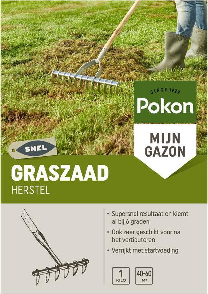  Pokon Graszaad Herstel - 1kg - Gazonherstel - Geschikt Voor 40m² Tot 60m² - Supersnel Egaal Groen Gras