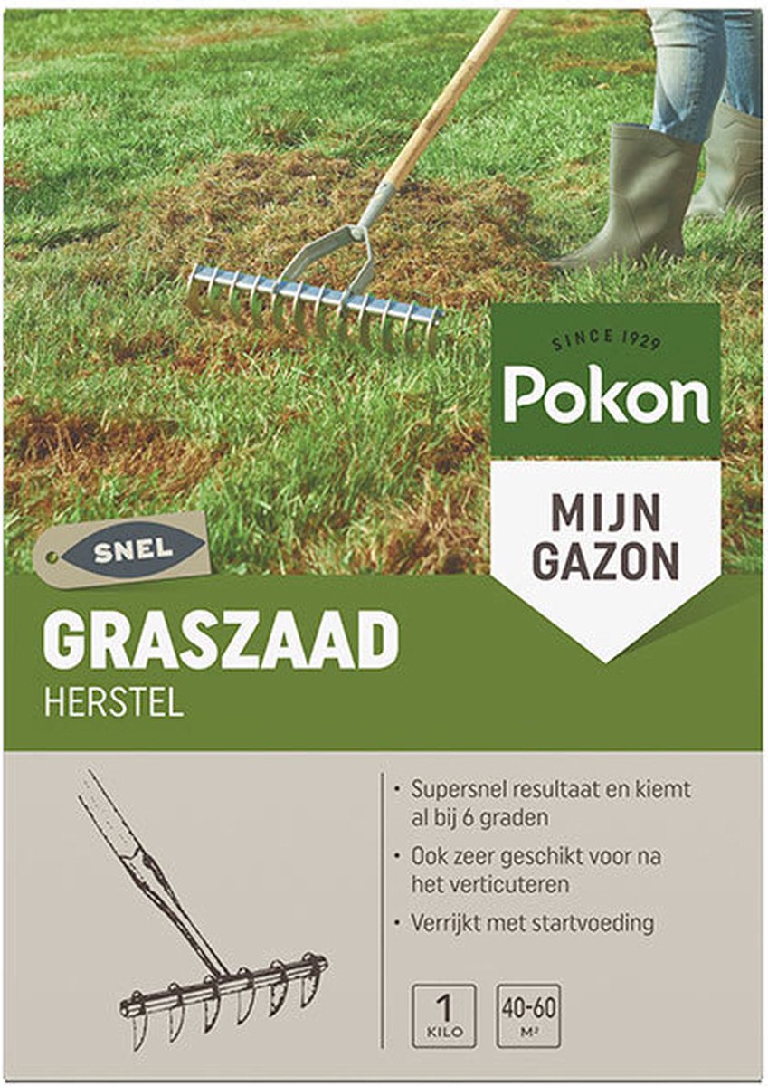  Pokon Graszaad Herstel - 1kg - Gazonherstel - Geschikt Voor 40m² Tot 60m² - Supersnel Egaal Groen Gras