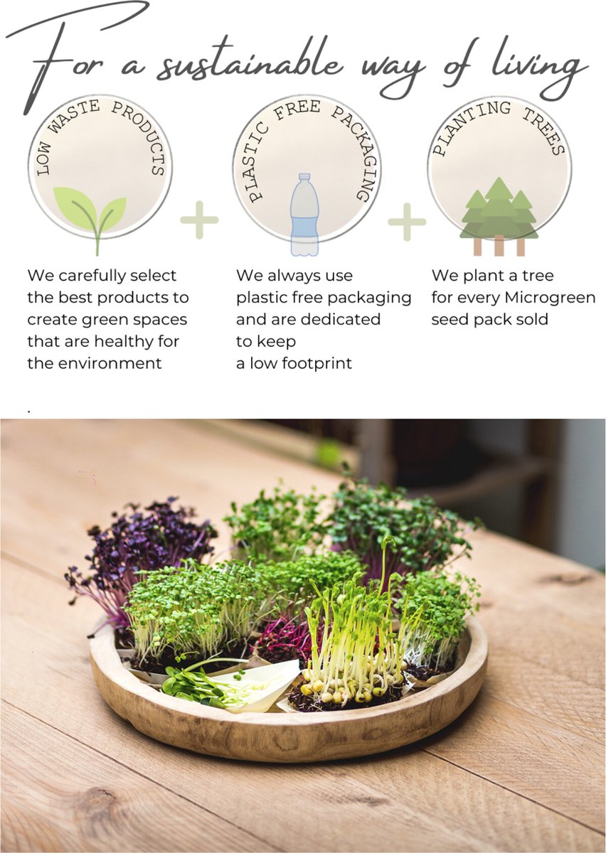  Variatie-set Kiemzaden 5x 100g | Broccoli, Erwten Scheuten, Zonnebloem, Radijs &amp; Mosterd - 500g | Biologische Microgreen, Microgroenten Zaden | Plastic Vrij Verpakt | Moestuin Kweekset Binnen