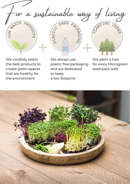  Variatie-set Kiemzaden 5x 100g | Broccoli, Erwten Scheuten, Zonnebloem, Radijs &amp; Mosterd - 500g | Biologische Microgreen, Microgroenten Zaden | Plastic Vrij Verpakt | Moestuin Kweekset Binnen