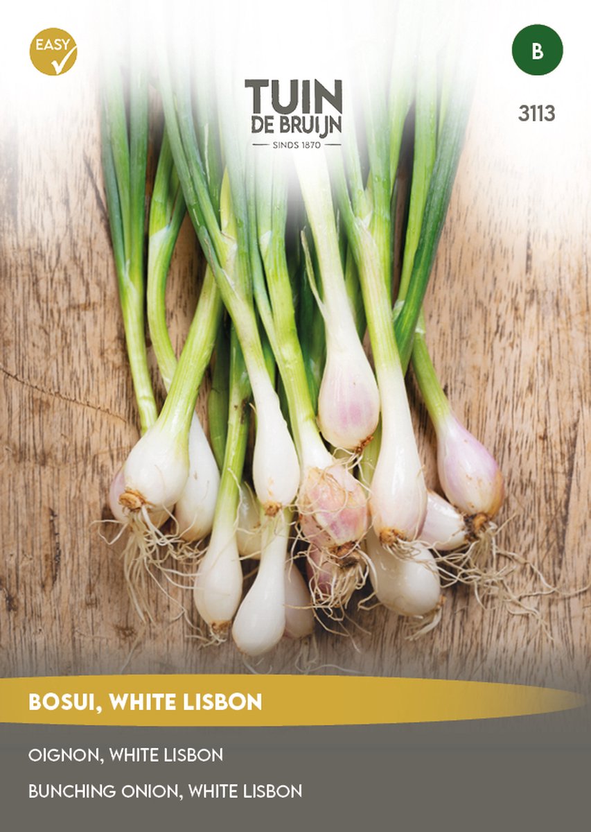  Tuin De Bruijn® Zaden - Bosui White Lisbon