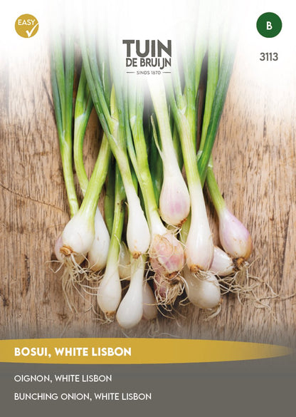  Tuin De Bruijn® Zaden - Bosui White Lisbon