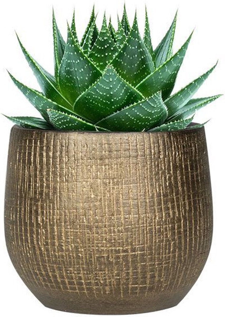  Plantenpot/bloempot In Een Strakke Modern Design Look Metal Goud Dia 22 Cm En Hoogte 20 Cm