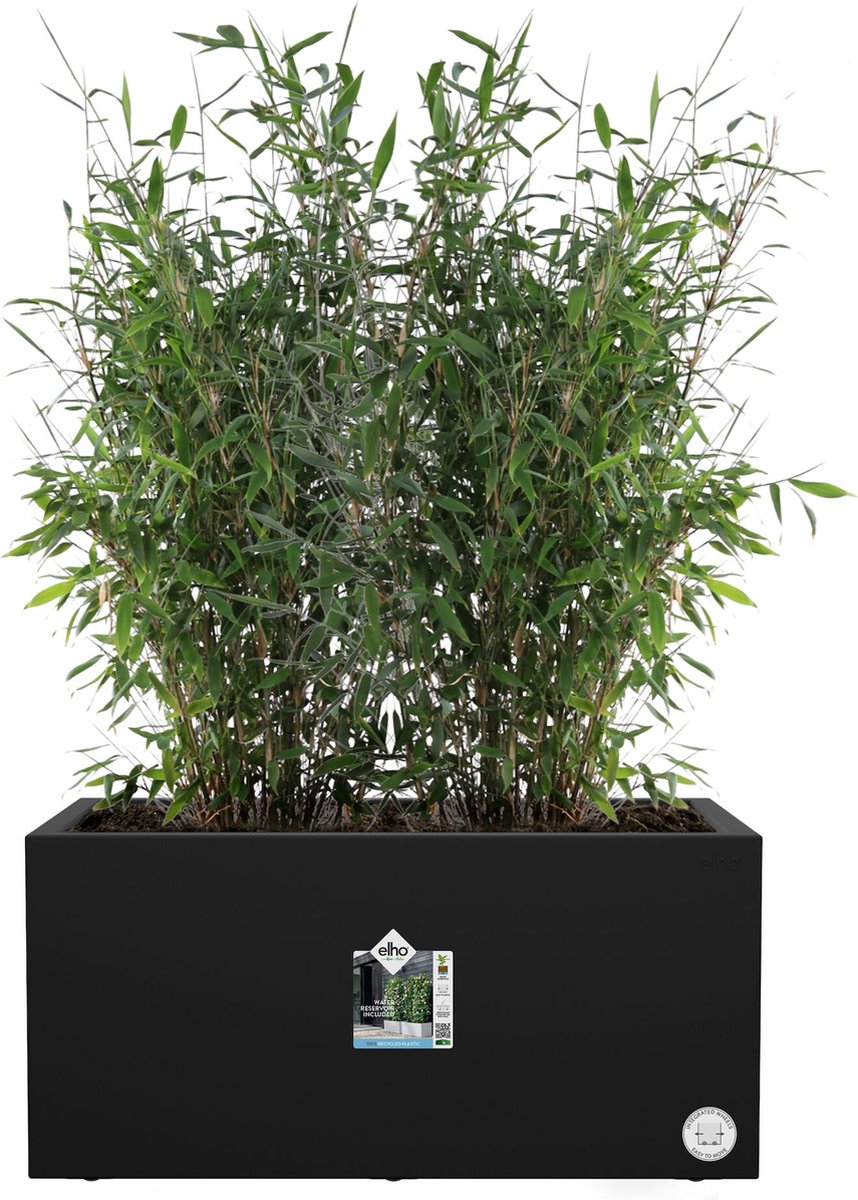  Elho Vivo Next Lang 60 - Bloempot Voor Binnen &amp; Buiten - Ø 59.0 X H 29.2 Cm - Zwart/Living Black