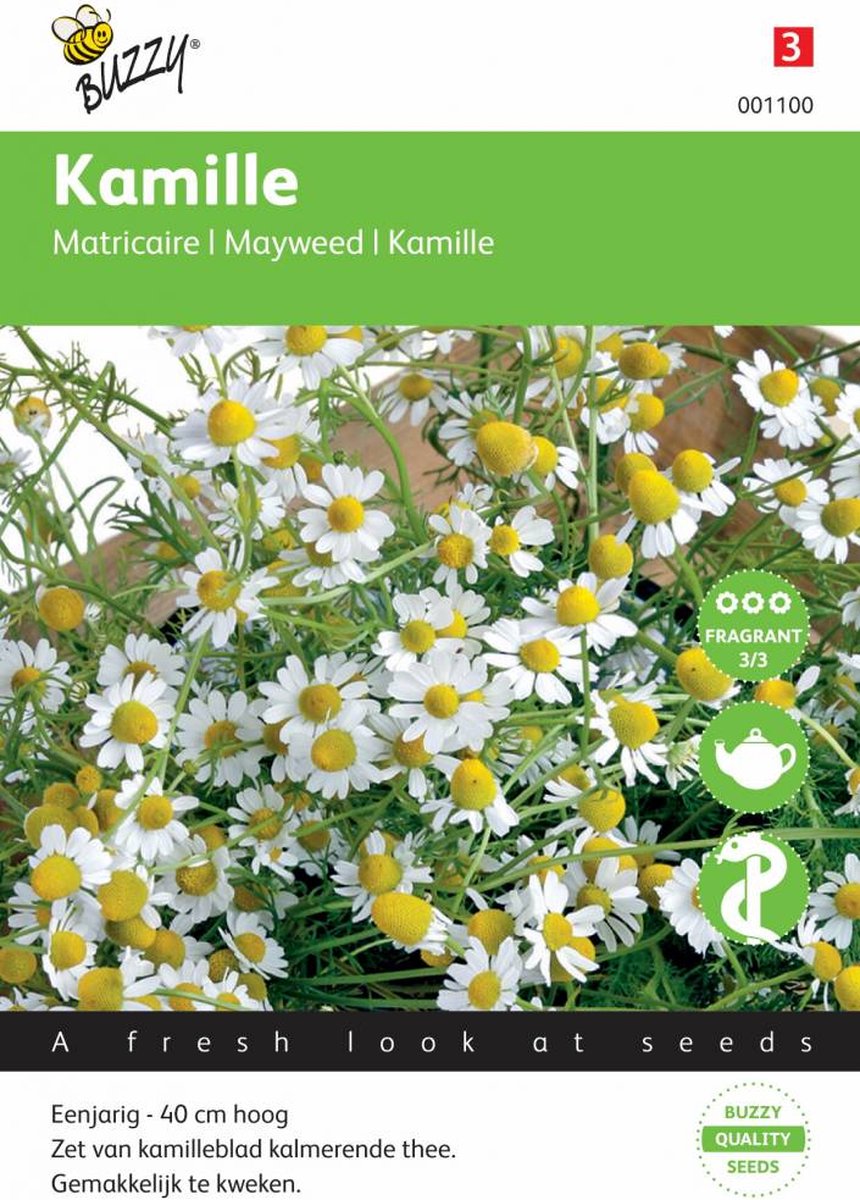  Buzzy Zaden - Kamille - Matricaria Chamomilla