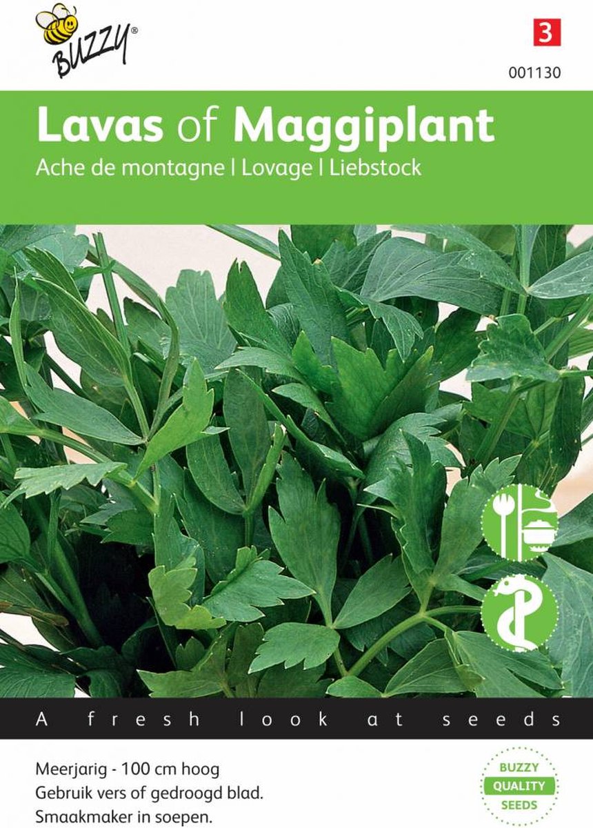  Buzzy® Lavas (Maggiplant)