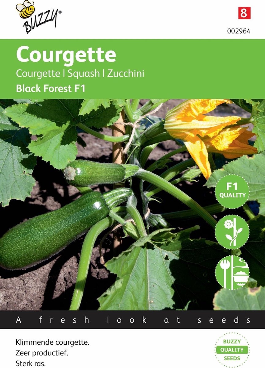  Buzzy® Courgette Klimmend Black Forest F1