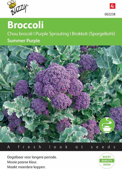 Buzzy® Broccoli Summer Purple