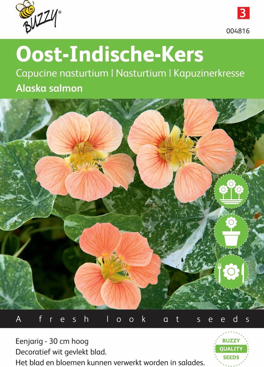  Buzzy® Oost-Indische Kers - Alaska Salmon