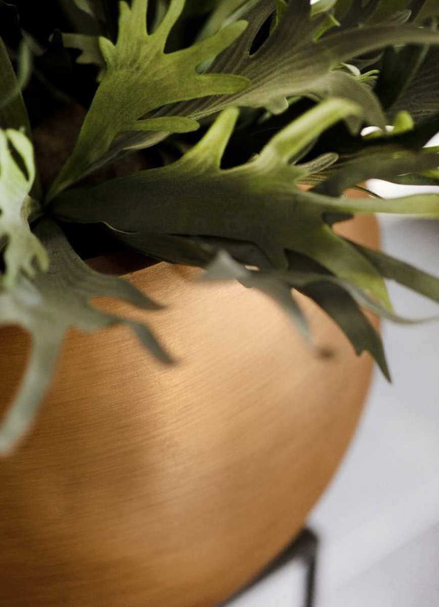  Capi Europe - Vaas Bol Retro - 30x25 - Goud - Bloempot Voor Binnen - BRTG104