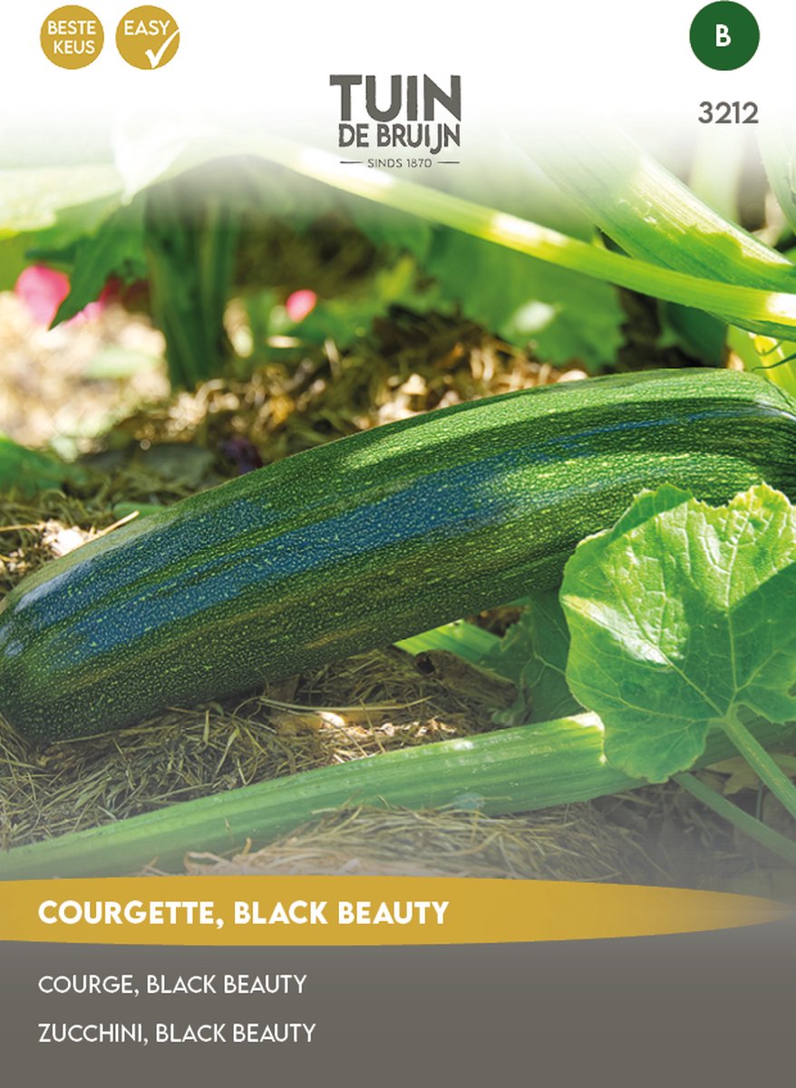  Tuin De Bruijn® Zaden - Courgette Black Beauty - Zeer Hoge Opbrengst