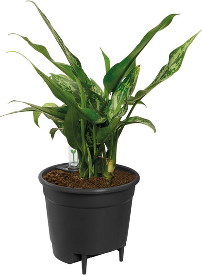  Elho Self-watering Insert 24 - Accessoires Voor Binnenaccessoires - Ø 23.7 X H 22.2 Cm - Zwart/Living Black