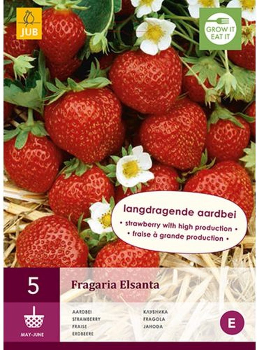  Jub Holland Elsanta Aardbeienplanten 10 Stuks - Zoete En Sappige Aardbeien - Fruitplanten - Kleinfruit - Garden Select
