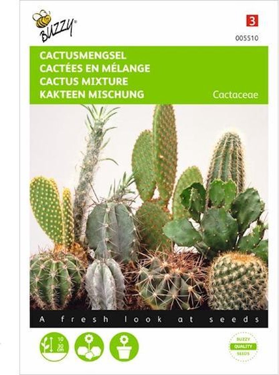  Buzzy - Cactus All Round Mengsel