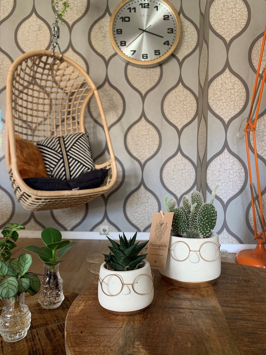  Plantophile Plant-deco Collectie - Leuke Bril Pot Met Plant - Wit Met Goud - Small - SET VAN 2 STUKS